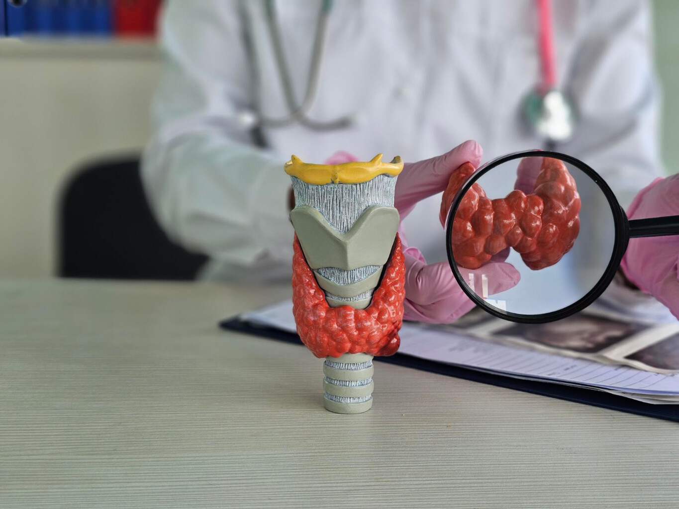 Endokrinologie a Diabetologie